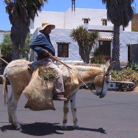 Finca Lanzarosy Guatiza Bagian luar foto